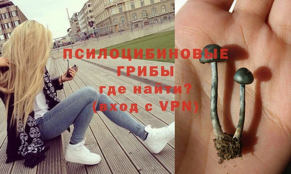 наркотики Богданович