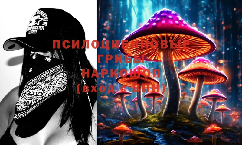 Галлюциногенные грибы Psilocybe  кракен рабочий сайт  Белинский 